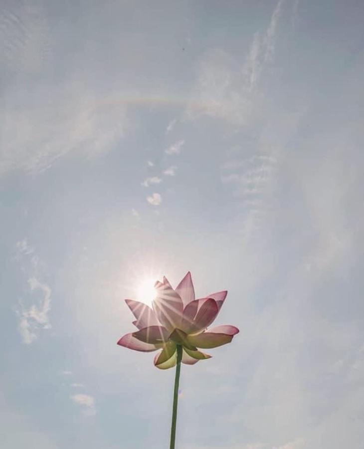 Khach San Flower Sky Nha Trang Luaran gambar